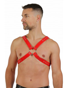 4121670-RD mixed half harness