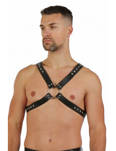 4121670-BK mixed half harness